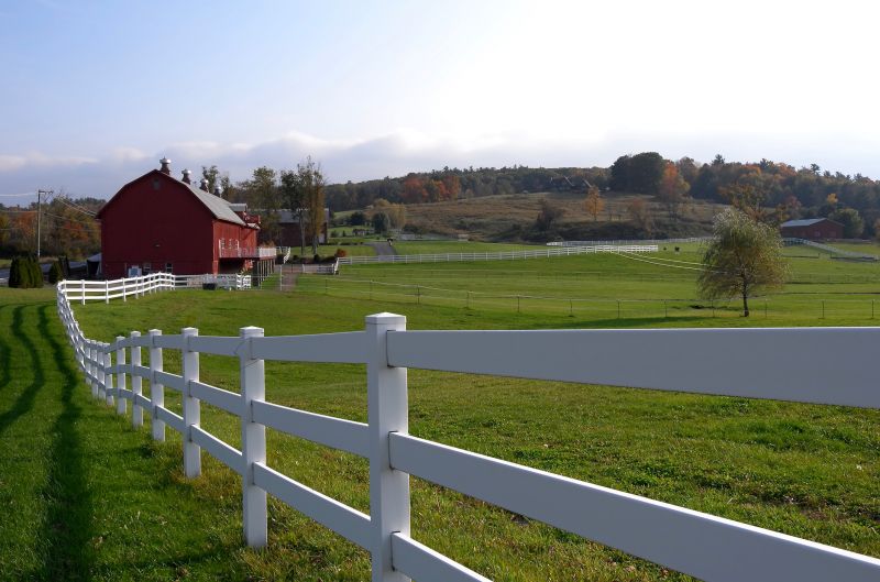 Fence detail